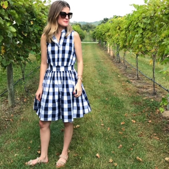 Chicwish Dresses & Skirts - Navy and White Gingham Dress
